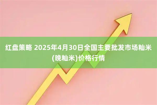 红盘策略 2025年4月30日全国主要批发市场籼米(晚籼米)价格行情