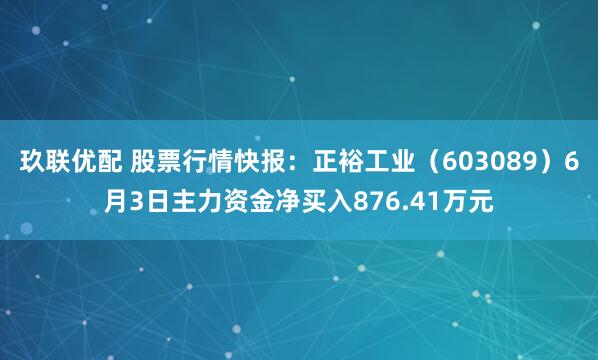 玖联优配 股票行情快报：正裕工业（603089）6月3日主力资金净买入876.41万元